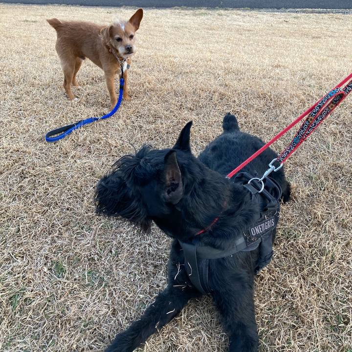 92d9d9c2 0103 433e 9073 19e062514ef1 1613725825295