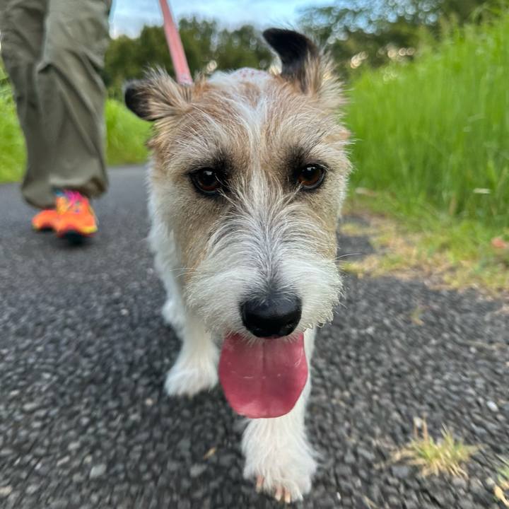 92d9e13d 0834 4f40 b800 6898b89d9ac0 1690802065237