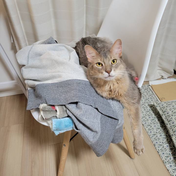 92d9e590 59e3 424e 95c1 3412f2cba831 1634820655817