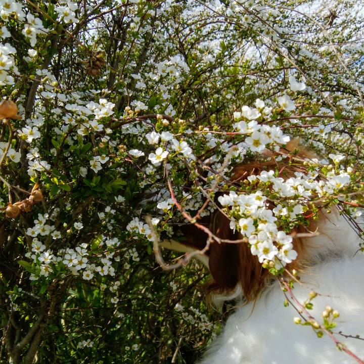 92d9e5ed 7ba9 4633 94b2 6205276a5abc 1553644533273