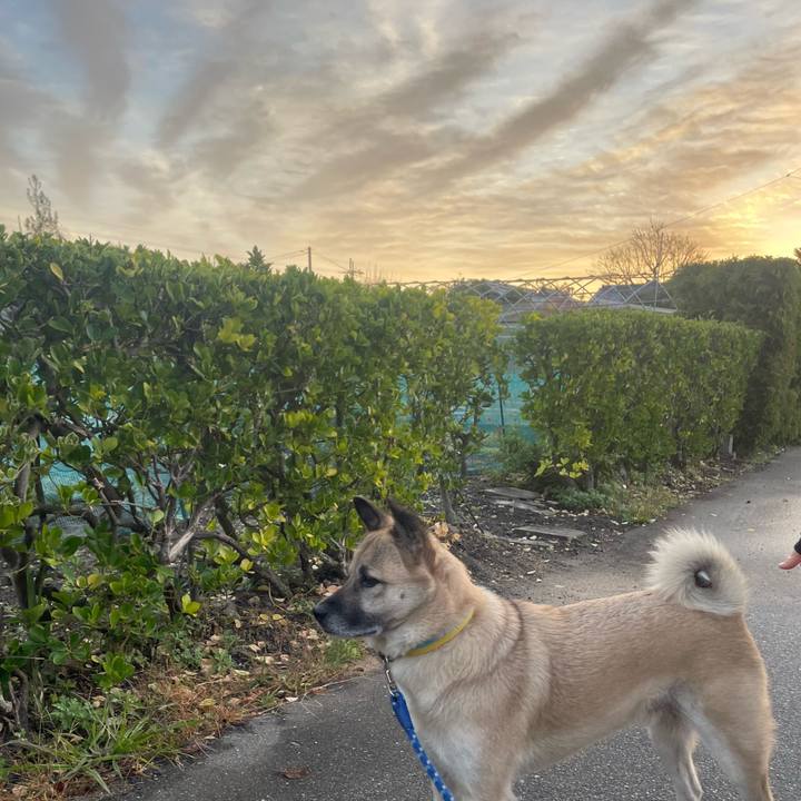 92d9fd5d 9221 4215 b582 78ae39cbffff 1669292819579