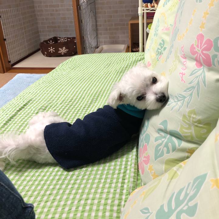 92da170e dfbc 416d b165 9bf9696cc719 1525913248334