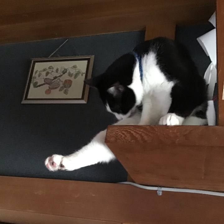 92da852b 419b 4731 a833 7e6f78e9fe30 1717213276494