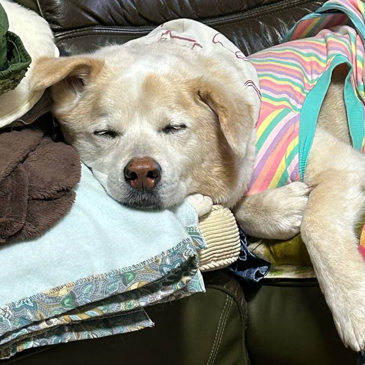 92daa00e 5c76 4be9 8b9b 68523790ed53 1712930534338