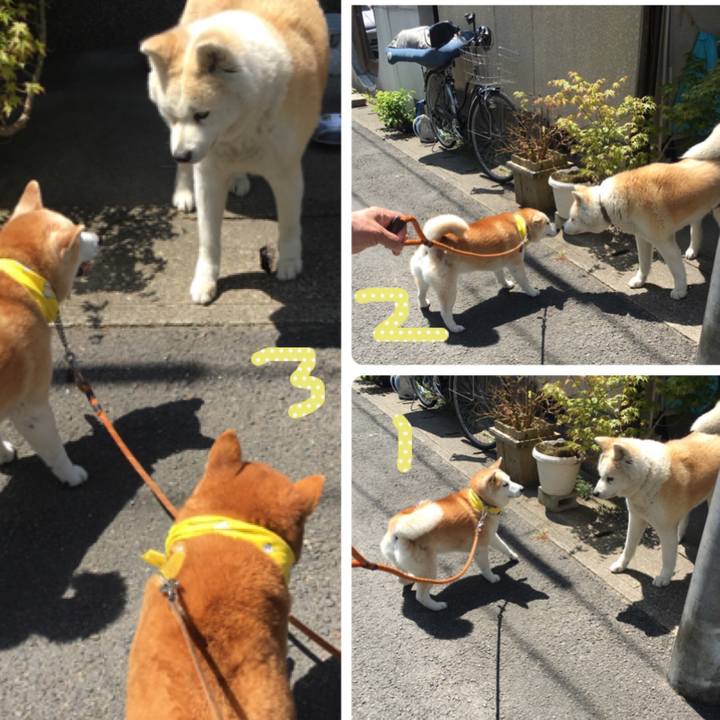 92dac327 b8e0 408c b326 3421cab550eb 1524977558219