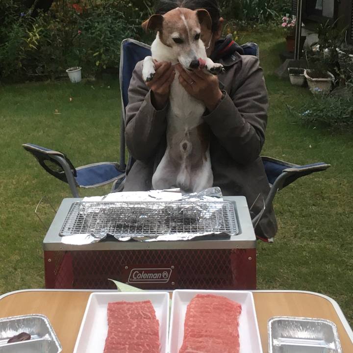 92dad9e6 5d4c 4ee8 b663 97162f8112f3 1667690975385