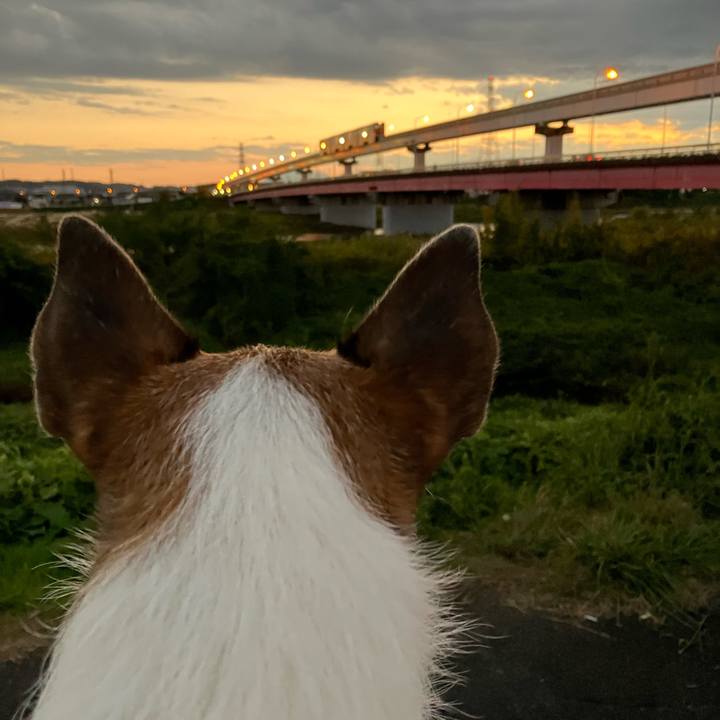 92dae82e 2a44 4699 9a34 ea4cafa427d4 1667694122539