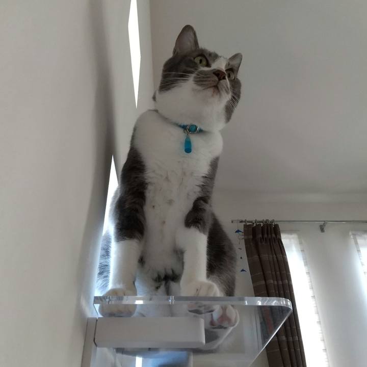 92db44a7 b737 478b 9060 fe0d615b4b1a 1632036161628