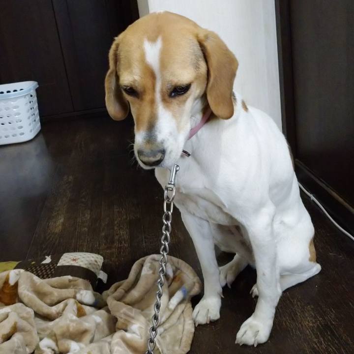 92dbd15f 004c 4fdf b63c eba1f31f6e14 1585286770530