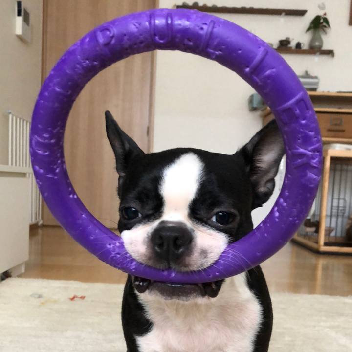 92dbddd7 8f2d 4873 a8f1 49bdde137897 1516452957872