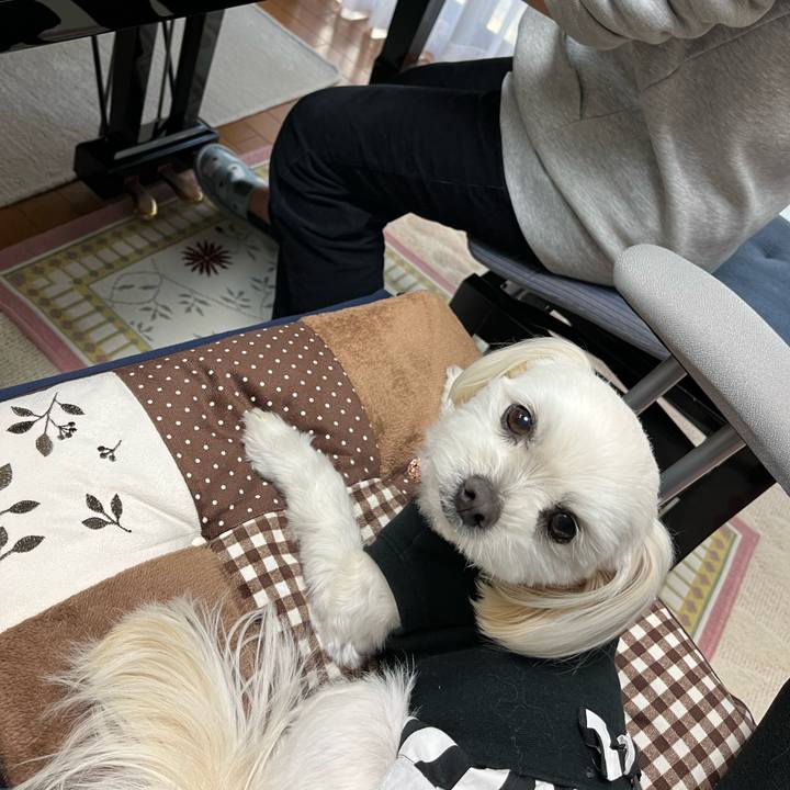 92dbe1a5 22d2 41f9 b61e 4e18bc17b83c 1680945129326