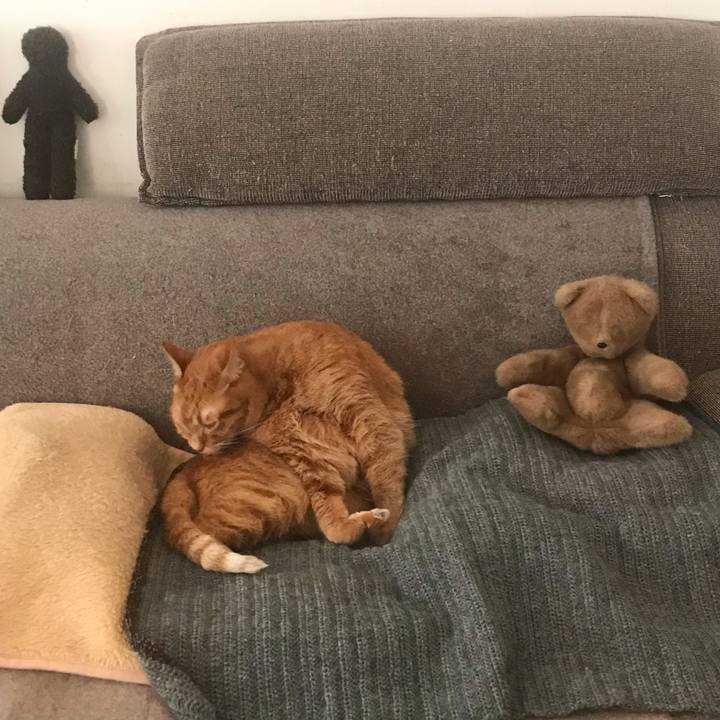 92dbec43 2ff1 4280 a9f9 cf349e9d576b 1612144670980