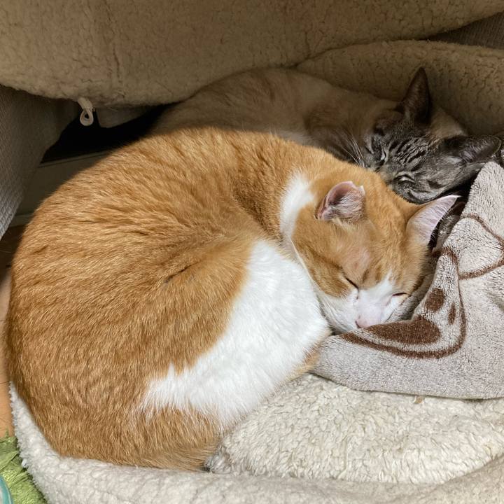 92dbf322 e534 4f4d ba11 57cc8ce8926f 1774362448475