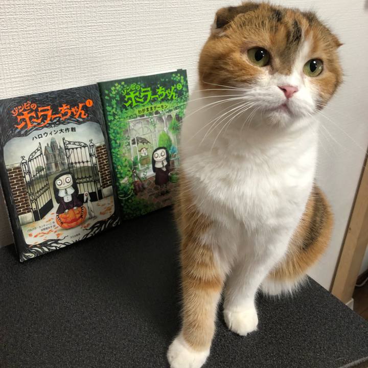 92dc08e4 c76a 4daf 8654 42a305ce0d3d 1568202825080