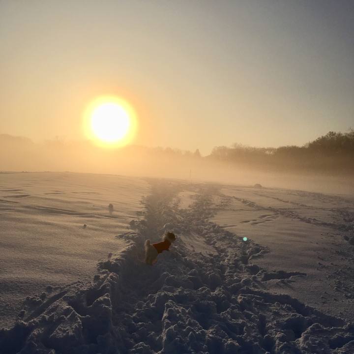 92dc12e9 1e13 415f b3fb f2ec3e144748 1516663545847