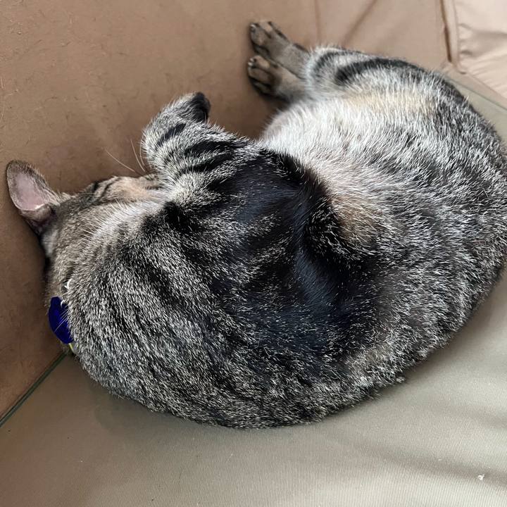 92dc384c 079d 477f 94c2 04b9a1891395 1764924355896