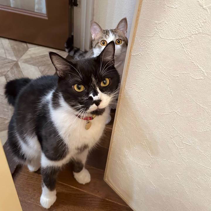 92dc65c9 71f2 44bc 8219 9ea17b08e26a 1758511605046