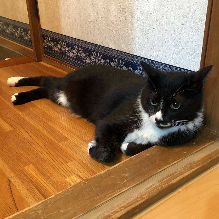 92dc6c43 7eec 4dd1 993c e99760314ca8 1562644209698