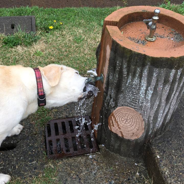 92dc7e3d 0fa5 4fa1 b112 9957f5568512 1524550161681