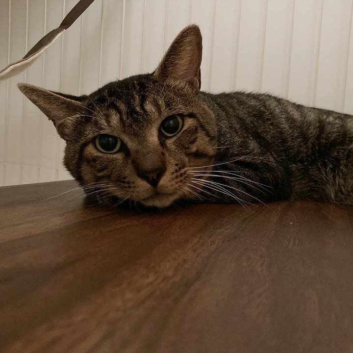 92dca7fe 7520 4e51 a680 c06d2ed3bb1e 1661260523858