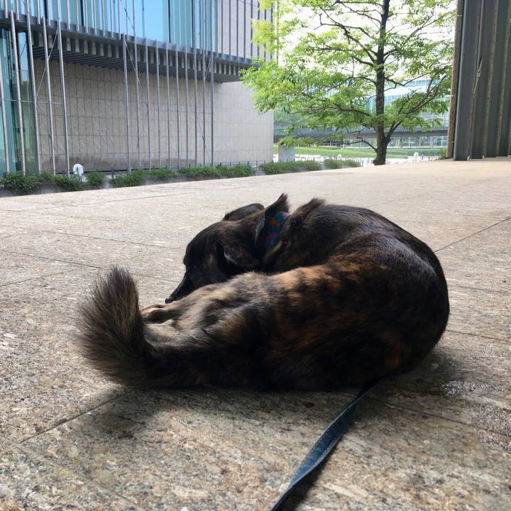 92dcc022 a7c8 4182 a541 5ee43e45b0d2 1563074537641