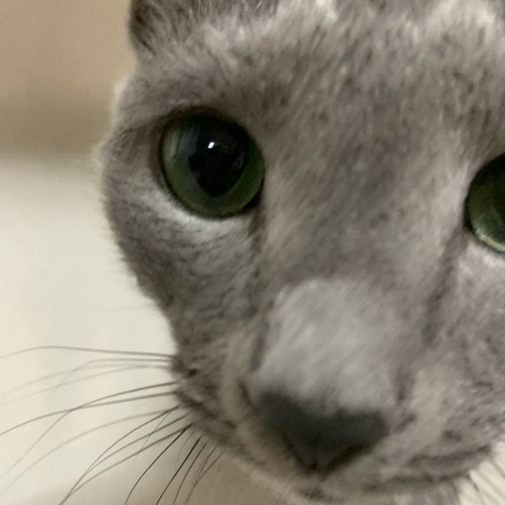 92dccc39 b494 4d84 9af5 6ae84a1fc064 1630216017497