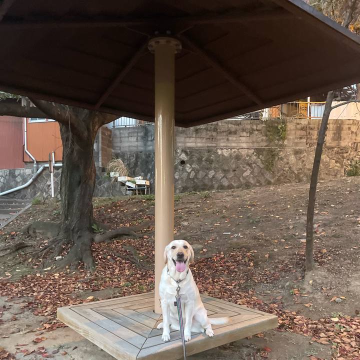 92dcfdef 3f6f 493d b372 f1e3e3feec40 1701058301803