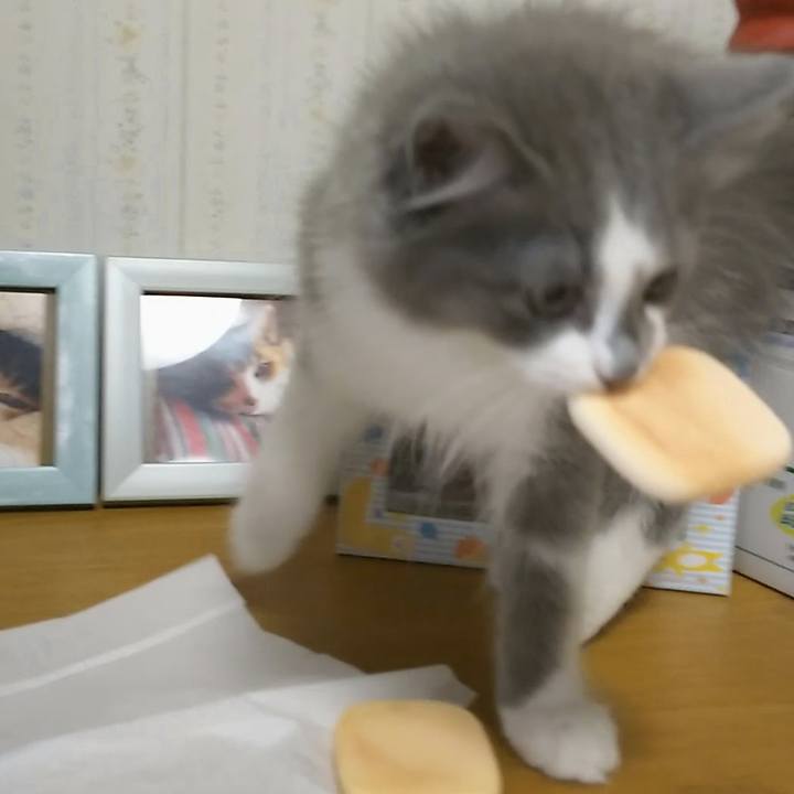 92dd04ac f54b 4fa7 abd0 53ee17e78d9b 1562107565923