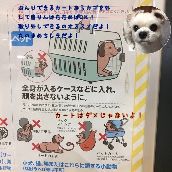 92dd5a53 c0af 4745 9587 9fe24f6b1232 1533898872837