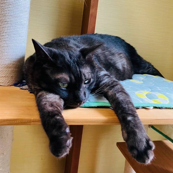 92dd5ce4 232e 459f 8708 15382ba57d8d 1750811783583