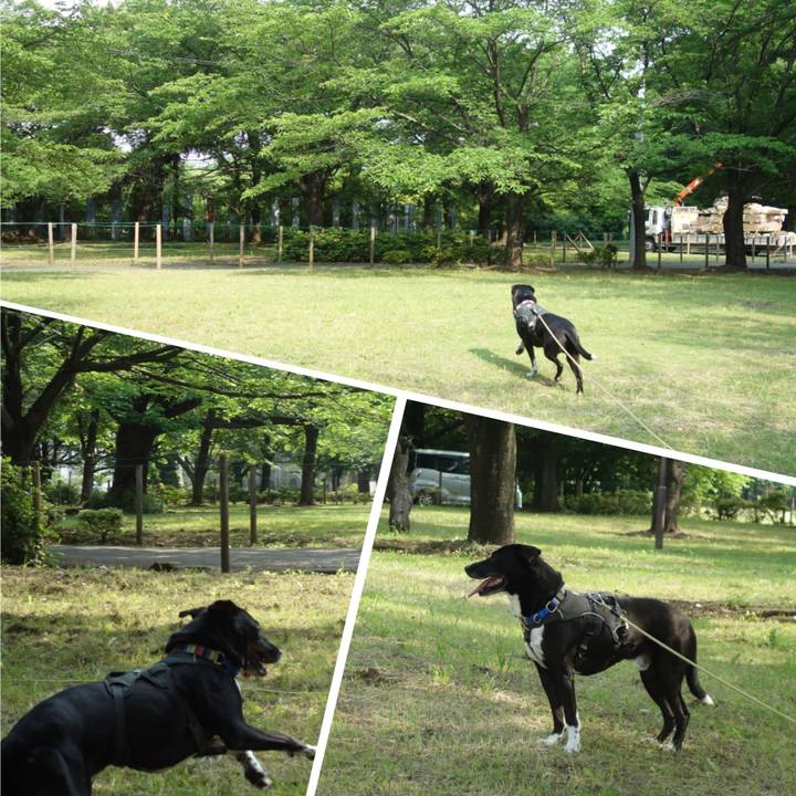 92dd5dd7 6fc2 4213 b8d6 52b16077e6dc 1653006293784