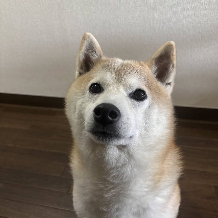 92dd8d3d cd8e 42a8 9c68 b818852427e6 1747170135058