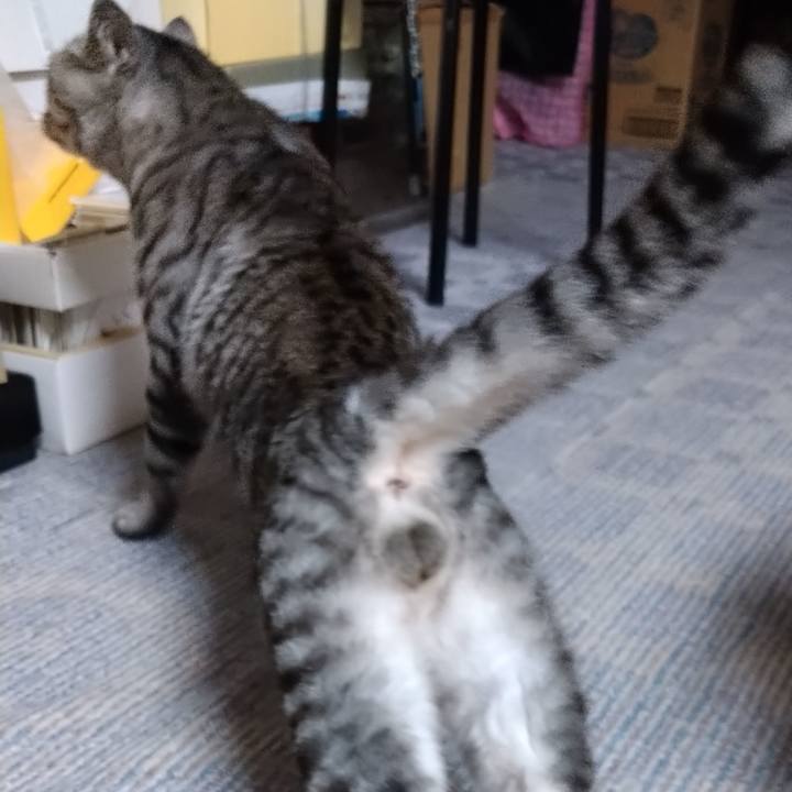 92de3050 032b 492f a77b 7bbbd311a30b 1662297414782