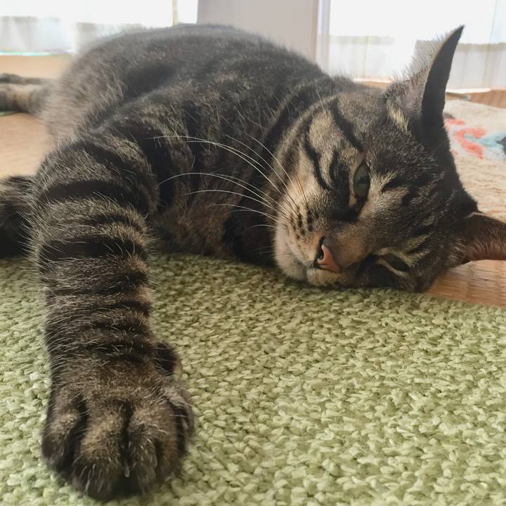 92de34dc c4d4 4b34 a4d2 d004b3030fff 1589091319663