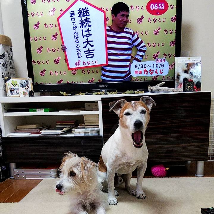 92de5d9a ec8b 4323 9a50 dc7180cc6f45 1569796452504