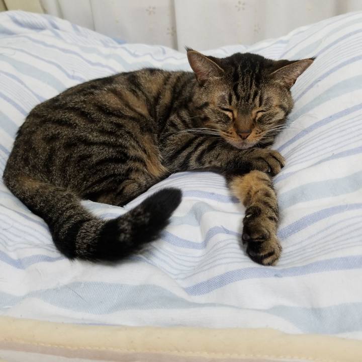 92de6c98 4b80 4bea abe5 512c0e8a9bd1 1568757031094