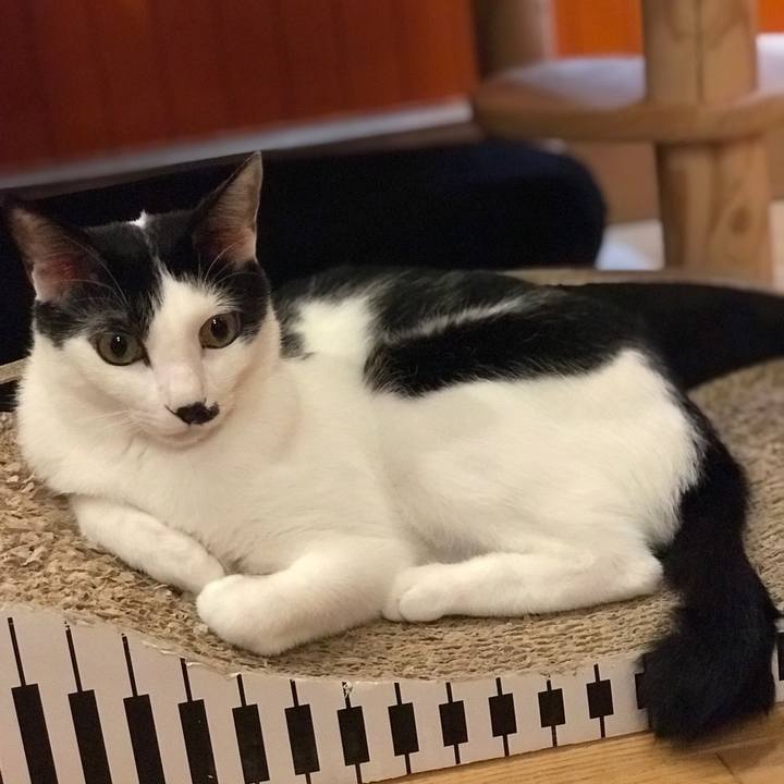 92de924b 0034 4aa3 9266 8e750d899231 1559841209398