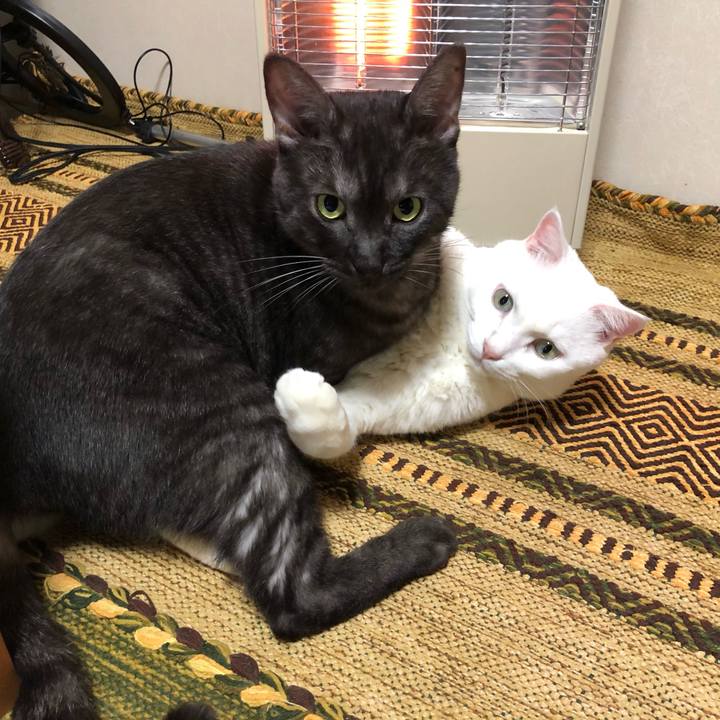 92ded249 01aa 4945 b745 e7cecb90dadd 1602992225754