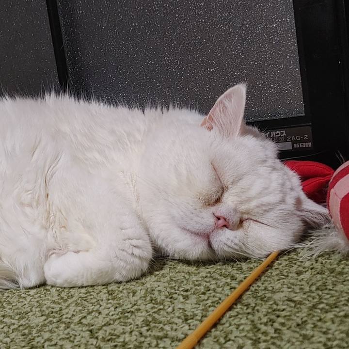 92dedfe2 7d82 4e59 8367 a844a1e50ef7 1755174403258