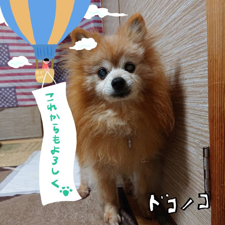 92deee8c d691 4cbd a873 1b80238c4cfc 1685955454264