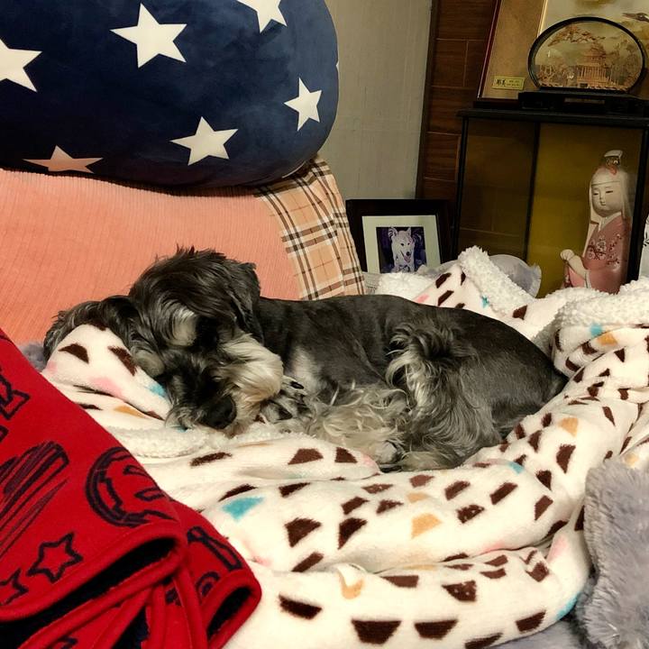 92def2f2 afbe 411a 9f5b 9ae95b00a647 1651762280835