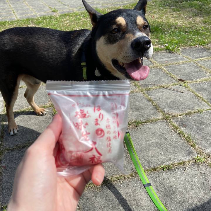 92df0170 7634 43c7 8804 0ab9b3d52ccb 1649234448578