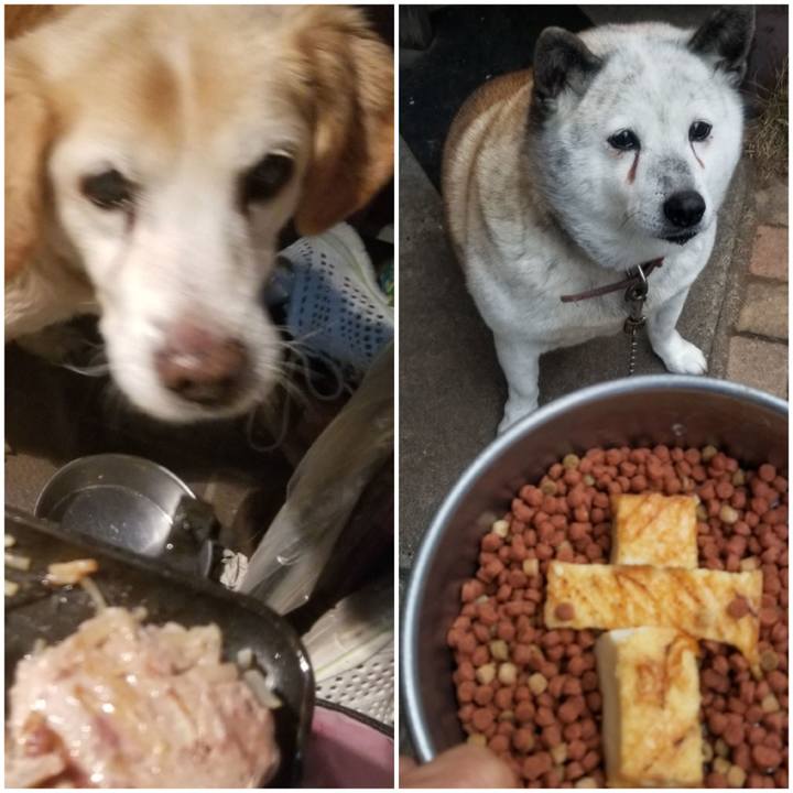 92df2867 0024 4aad 9a33 284f9a60fce1 1752484973821