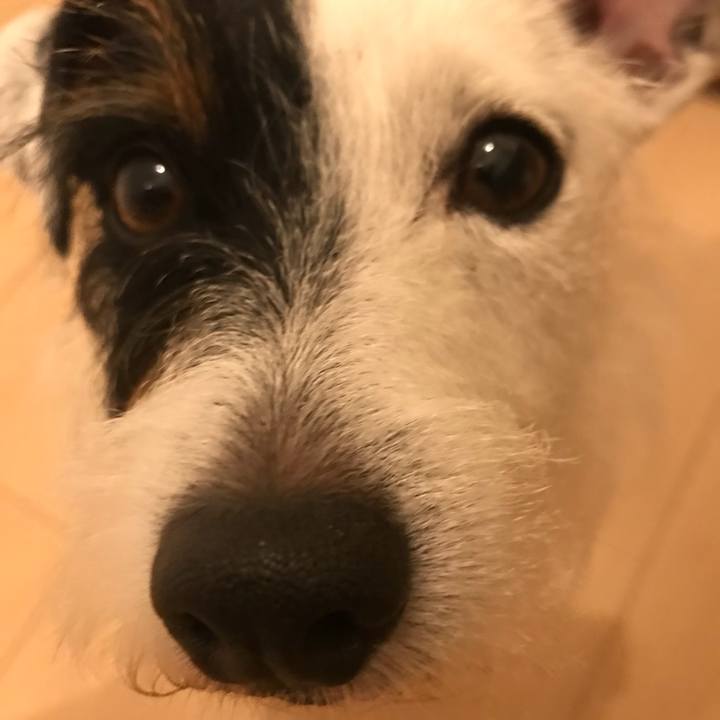 92df327f 5104 4e09 bae9 a13ed061bc3a 1532351959227