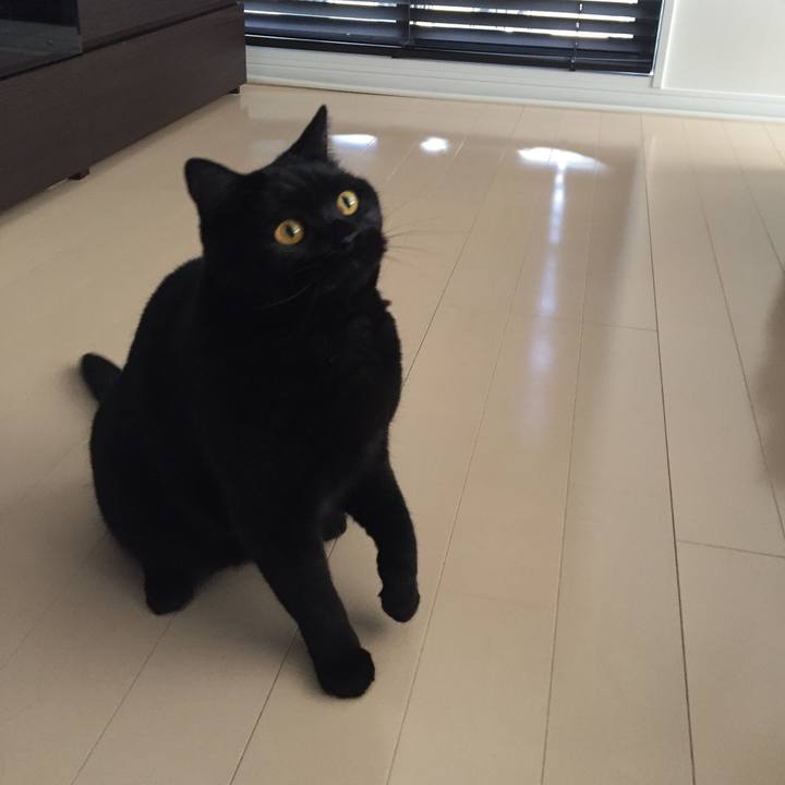 92df6900 0f11 4aeb ae93 2da93a9643c1 1556839836502