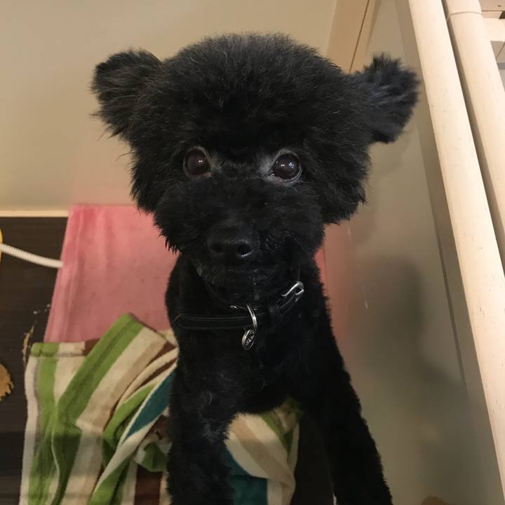 92df72ce 791d 46b0 8d27 e49715302138 1537606634073