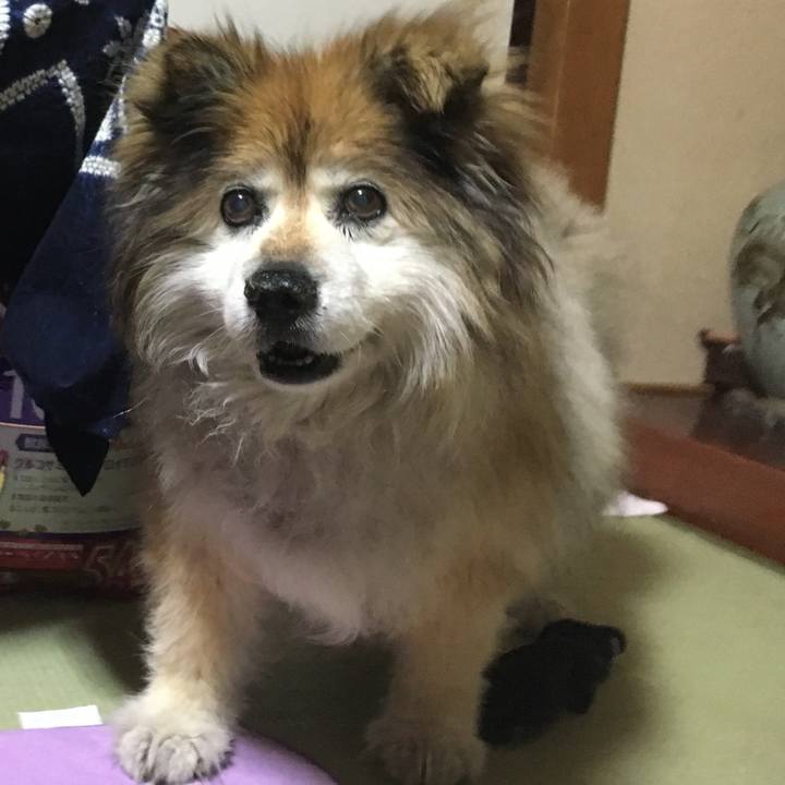 92df90fe 9133 4e89 a200 61bd042f93ae 1554717836446