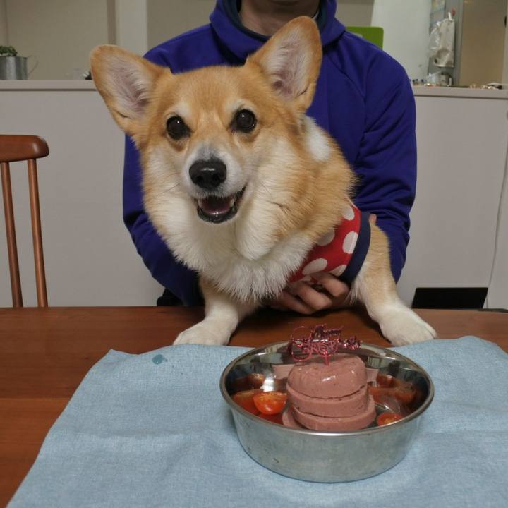 92e08c1b d425 46c6 b5ec af8058df3c95 1671895491784