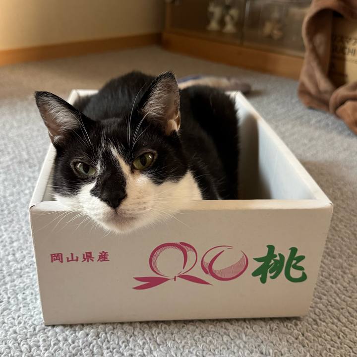 92e0b5c0 acfa 4ef4 ba02 91de2ac6919b 1757220077955