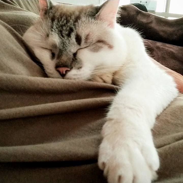 92e0c8e7 c86b 4111 8482 d2845a6e98f9 1599013200817